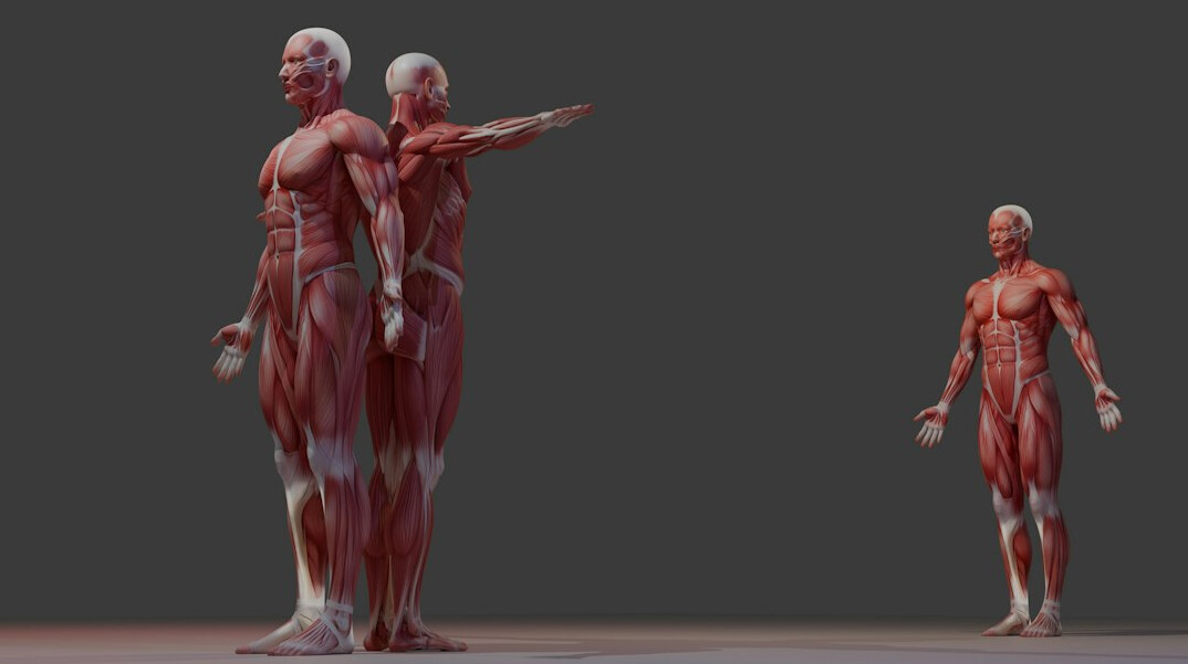 complex character study